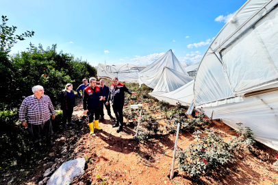 Hortum ve sağanak tarımı vurdu: Ekipler sahada hasar tespiti yapıyor