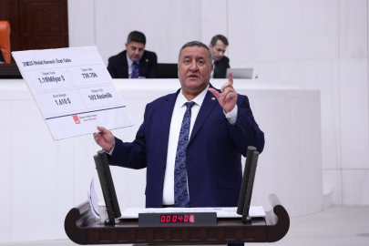 Gürer: 2025’te Hayvan ithalatına 1 milyar 191 milyon dolar ödendi