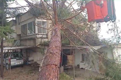 Mersin’de fırtına hasara yol açtı: Ağaç evin üzerine devrildi