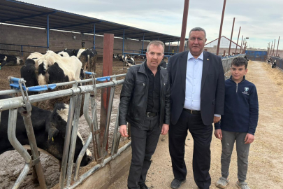 Gürer: Bu şartlarda hayvancılığın sürdürülebilirliği kalmadı