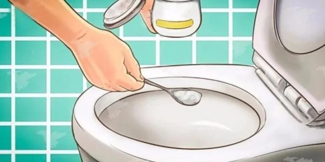 Düzenli Temizlik Kokuyu Önler