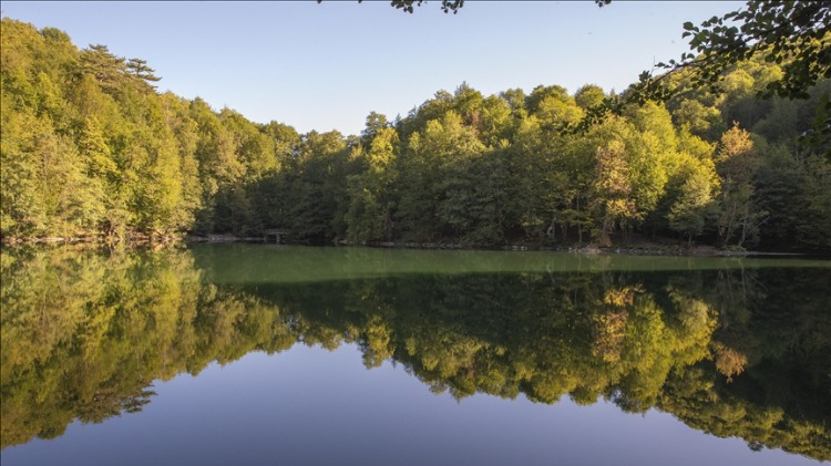 Yedigöller Milli Parkı