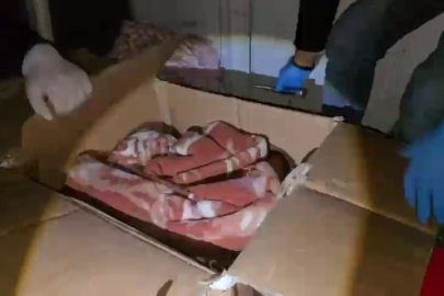 Hatay’da kamyonet kasasında 11 kilo 200 gram skunk ele geçirildi