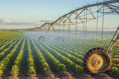 Tarımsal girdi maliyetleri 2025'i yükselişle kapattı: Veteriner harcamaları zirveye yerleşti