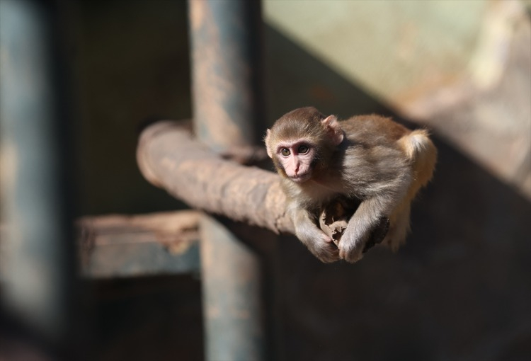 KLİNİKTEKİ ZORLU SÜRECİ ATLATTI