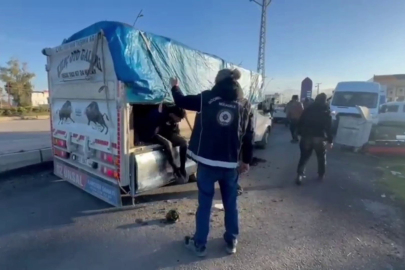 Hatay’da akıl almaz yöntem: Gübrenin altında göçmen taşımışlar