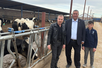 Gürer: Hayvancılıkta sorunlar seyredilerek çözülmez