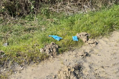 İstanbul’da kayıp Çinli iş adamının cinayeti çözüldü: Cesedi tarlada gömülü bulundu, 10 şüpheli Çin'de yakalandı