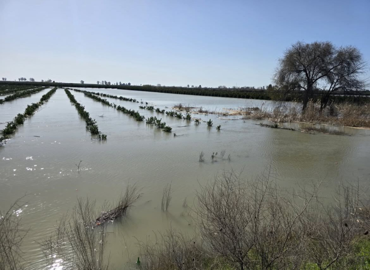 Seyhan Barajı’nda son dönemde etkili olan yoğun yağışlar ve ani sıcaklık artışlarına bağlı kar erimeleri nedeniyle su seviyesi yükseldi. Devlet Su İşleri (DSİ) tarafından kontrollü su tahliyesi süreci başlatıldı. AK Parti Adana Milletvekili Abdullah Doğru, “DSİ, AFAD ve ilgili kurumlarımız koordinasyon içinde tarama ve kontrol çalışmalarını aralıksız yürütmekte. Devletimizin tüm imkânları sahadadır. Vatandaşlarımızın can ve mal güvenliği önceliğimizdir” dedi.