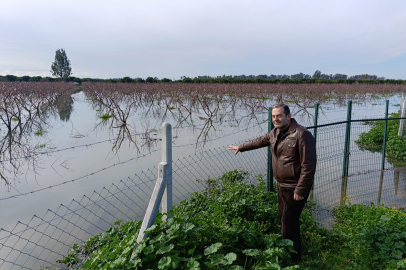 Tayakısı: Aşırı yağışlar Seyhan havzasında tarımı vurdu