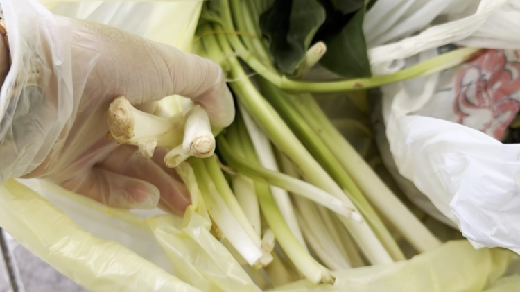 Mersin'de doktor çifte Pazar kabusu Pazı diye aldıkları ot zehirli çıktı 2