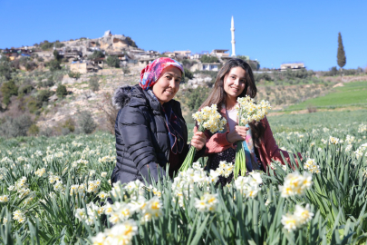 Mersin’de nergis bereketi: Kırsal üreticiye büyük destek