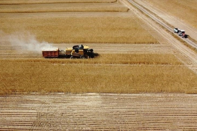 Çiftçilere 149,6 milyon liralık tarımsal destekleme ödemesi bugün yapılıyor