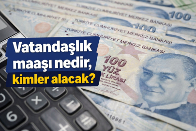 Vatandaşlık maaşı nedir, kimler alacak? E-Devlet başvuru şartları