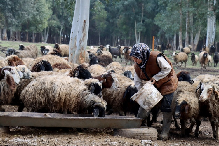 HEM ANNE HEM ÜRETİCİ HEM ÖĞRENCİ