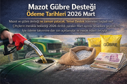 MAZOT VE GÜBRE DESTEĞİ NE ZAMAN YATACAK, TEMEL DESTEK ÖDEMESİ VERİLECEK Mİ?