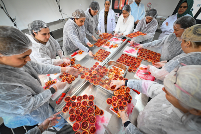 Hamzabeyli Köyümüz Atölye’sinde Mersin Kan Portakalı işleniyor