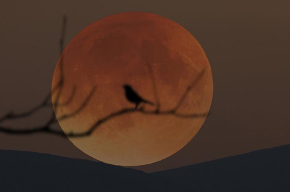 KANLI AY TUTULMASI NE ZAMAN 2026? SAAT KAÇTA BAŞLAYACAK, TÜRKİYE’DEN GÖRÜLECEK Mİ?