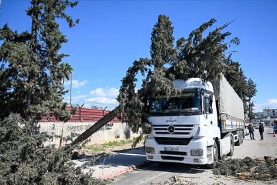 Adana'da kuvvetli rüzgar hayatı olumsuz etkiledi