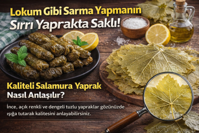 LOKUM GİBİ SARMA YAPMANIN SIRRI YAPRAKTA SAKLI! KALİTELİ SALAMURA YAPRAK NASIL ANLAŞILIR?