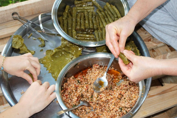 Yaprağın rengine dikkat edin