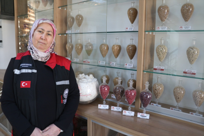 Adana’da geliştirilen yerli tohumlar dünyaya ihraç ediliyor. 13 ülkeye pamuk, buğday ve arpa gönderildi