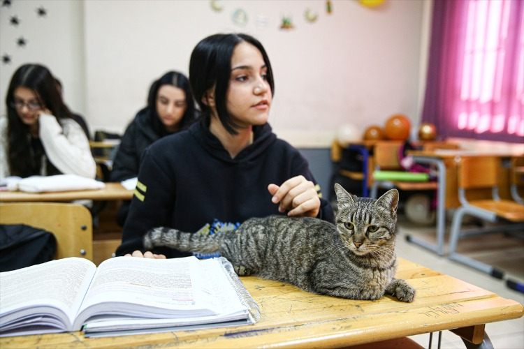 - Okulun parçası haline geldi