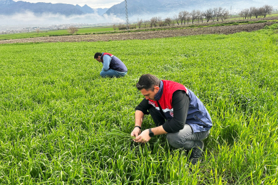Üretim süreci tarlada takip ediliyor