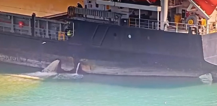 Mersin'de denizi kirleten gemiye 13 milyon lira ceza 3