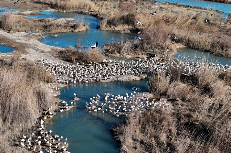 Göç yolculuğu devam ediyor