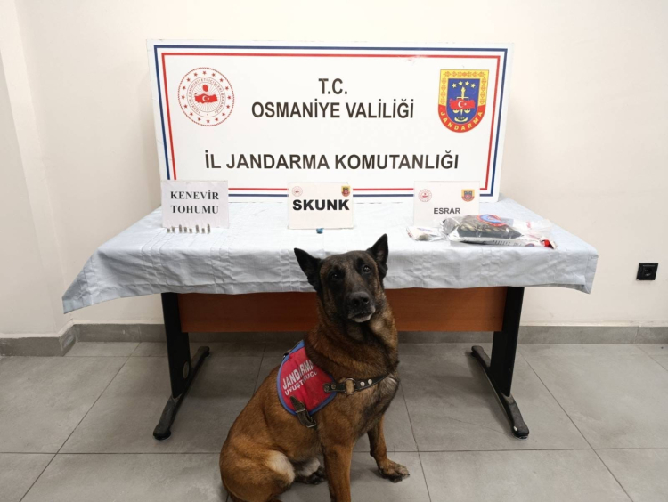 Osmaniye’de jandarma asayiş operasyonlarında 99 şüpheli yakalandı 3