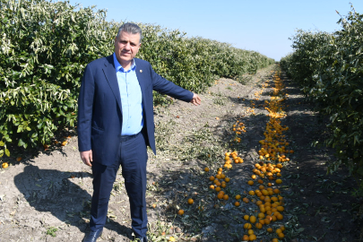 Barut: Limonda ithalat kararı geri alınsın