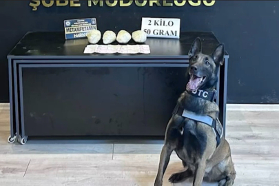 Ocak ayının en başarılı narkotik köpeği "Jardi" oldu