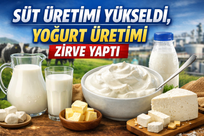 Süt üretimi yükseldi, yoğurt üretimi zirve yaptı