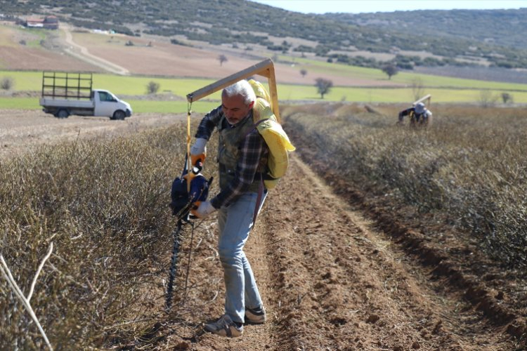 MODERN APARATLARLA BUDAMA KOLAYLAŞIYOR