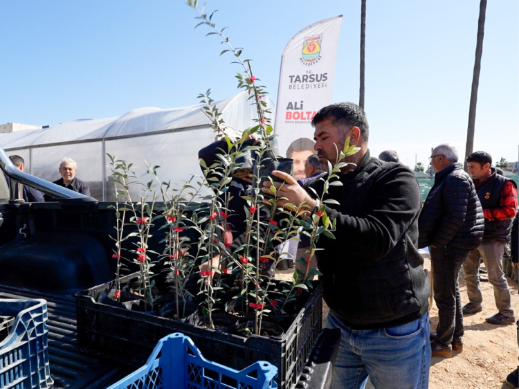 Mersin Tarsus’ta zeytinyağında kalite yarışması düzenlendi 3