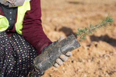 Sarıçam’da 13 yılda 1,2 milyon fidan toprakla buluştu