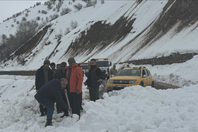 Bingöl'de Karlıova-Yedisu kara yolu çığ nedeniyle ulaşıma kapandı