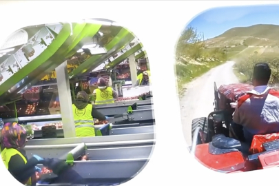 IPARD III Programı 2026 yılı çağrı takvimi yayımlandı