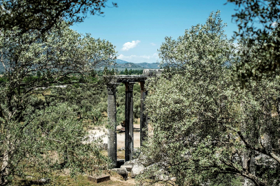 Orhanlı Vadisi’nde kadim zeytincilik kültürü yaşatılıyor
