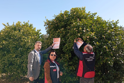 Adana Kozan'da arıların korunmasına yönelik çalışma başlatıldı