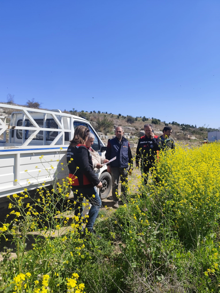 Adana Kozan'da arıların korunmasına yönelik çalışma başlatıldı 2