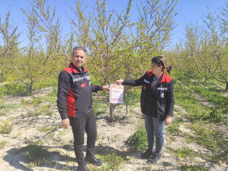 Adana Kozan'da arıların korunmasına yönelik çalışma başlatıldı 3