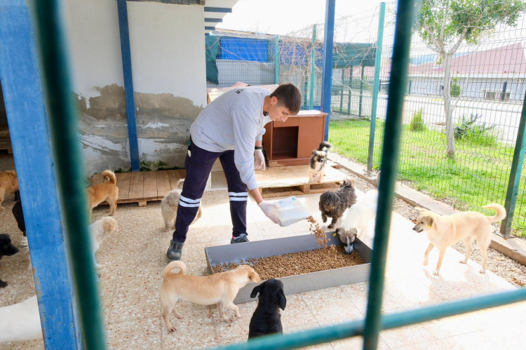 Can: Hayvanların bakımı ve sağlığı düzenli olarak kontrol ediliyor
