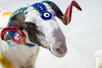 2026 KURBAN BAYRAMI NE ZAMAN? KURBAN BAYRAMI HANGİ GÜNE DENK GELİYOR, TATİL KAÇ GÜN OLACAK?