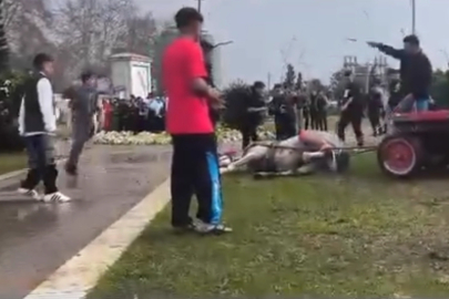 Adana’da bir kişi atını sopa ve tekmelerle bayılttı, o anlar kaydedildi