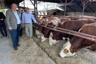 Gürer: Milyonlarca dolar yurt dışına gidiyor ama vatandaş ete ulaşamıyor