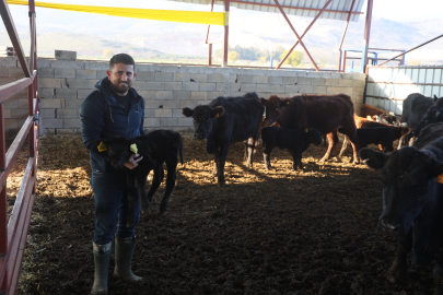 Ziraat mühendisliğini bırakarak devlet desteğiyle kurduğu çiftlikte angus yetiştiriciliğine başladı