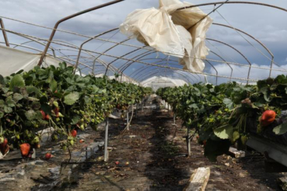 Mersin Silifke’de hortum felaketi