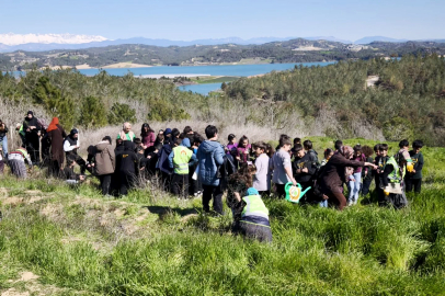 Ormanlar azalıyor, kriz büyüyor: Küresel su tehlikesi kapıda